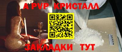индика Ставрополь
