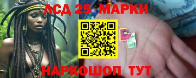 индика Ставрополь