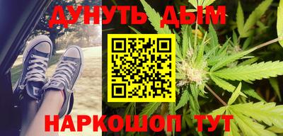 индика Ставрополь