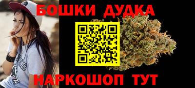 индика Ставрополь
